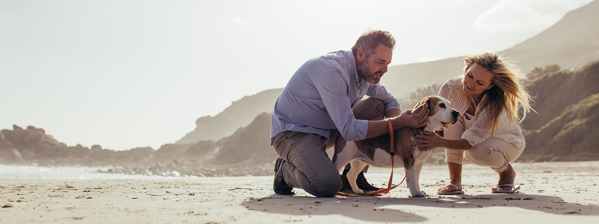 Infographic Pet Owner Attitudes And Expectations Toward Dog Aging Appetizer Diana Pet Food