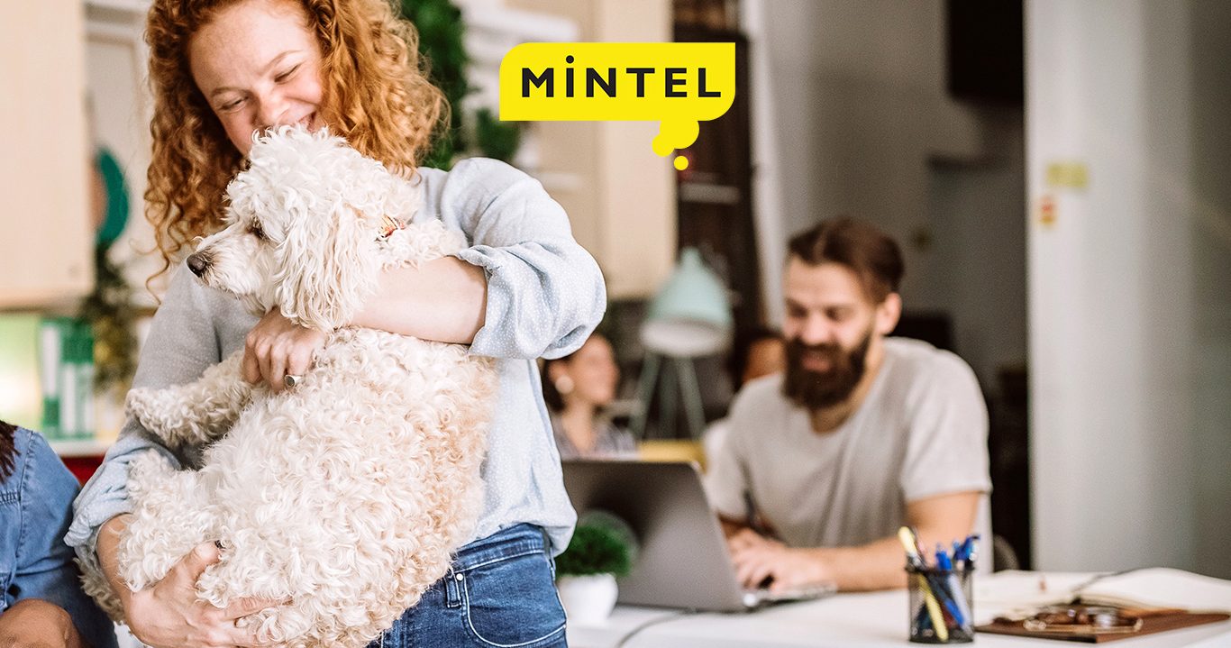 Discover how all sectors answer pet owners’ need to bring their furry companions everywhere.
