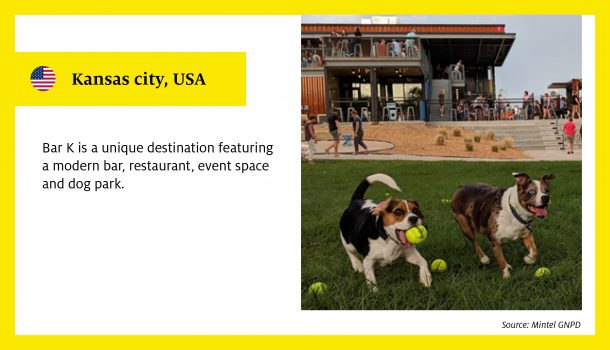 Bar K is a unique destination featuring a modern bar, restaurant, event space and dog park.