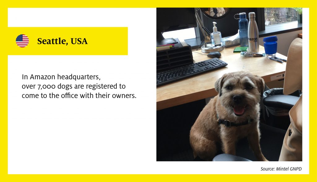 In Amazon headquarters, over 7,000 dogs are registered to come to the office with their owners.