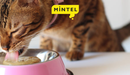 Pet food innovation in 2019