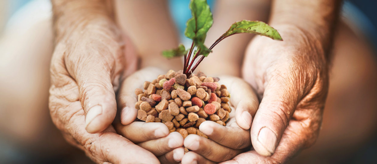 From life cycle assessment to environmental score, discover how to measure the sustainability of your pet food!