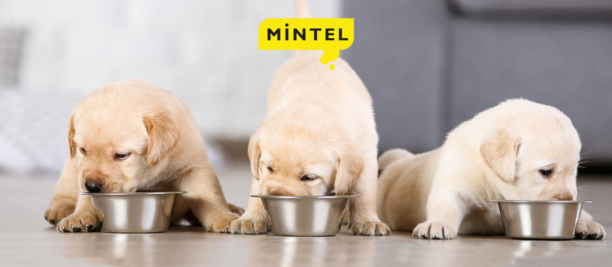 Discover which pet food products stood out in 2020 and find out worldwide innovation opportunities