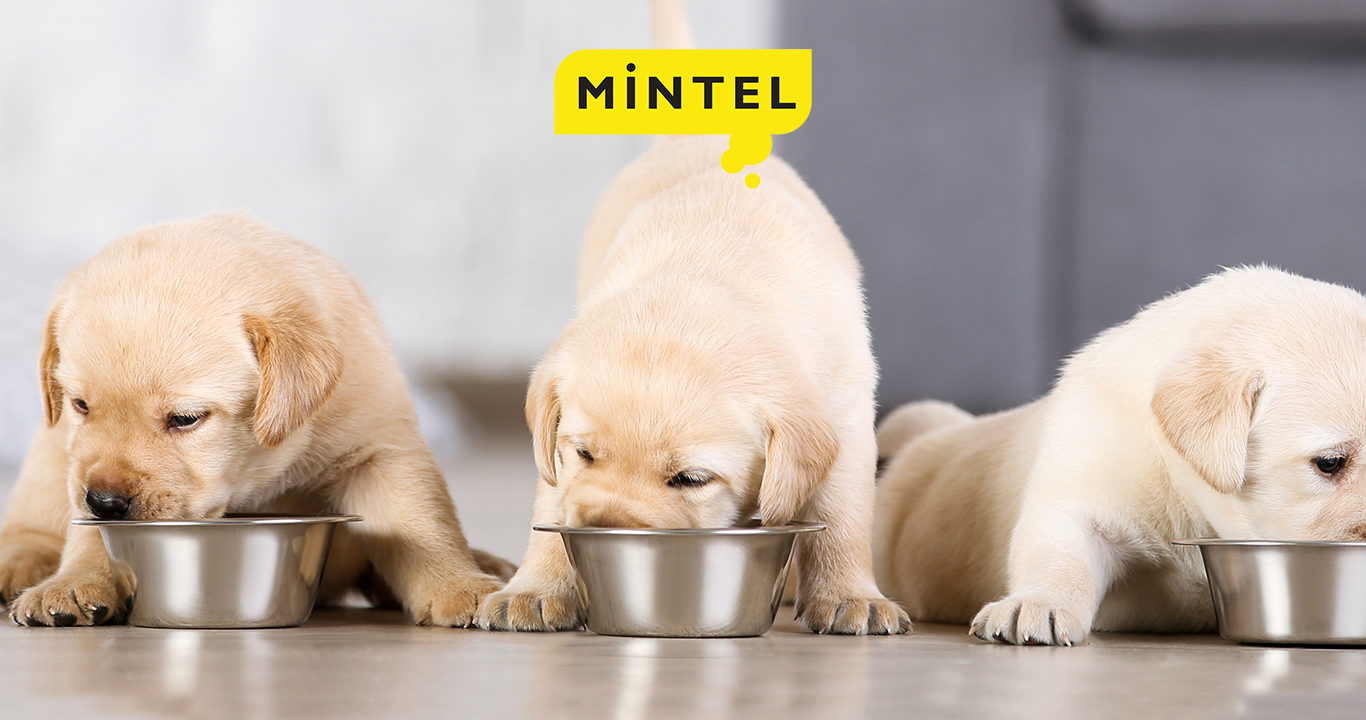 Discover which pet food products stood out in 2020 and find out worldwide innovation opportunities