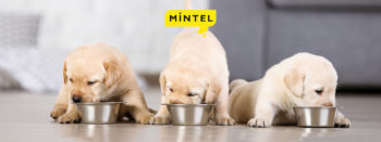 Discover which pet food products stood out in 2020 and find out worldwide innovation opportunities