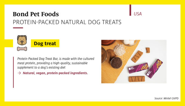 The natural dog pet food market outlet