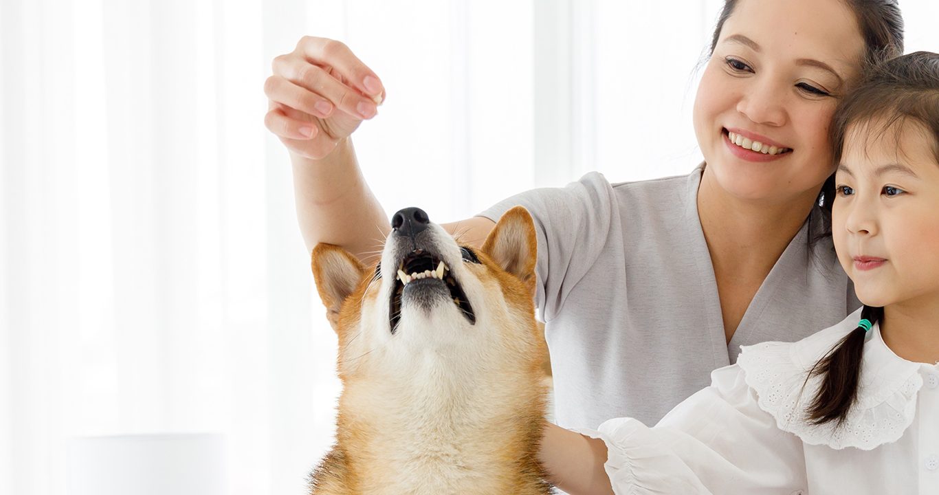Discover the four major trends that will drive the Asian pet food market in the coming years