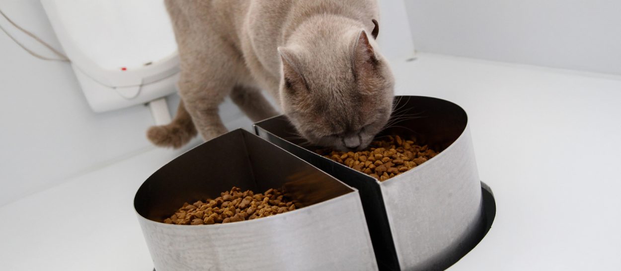 symrise pet food versus or monadic tests