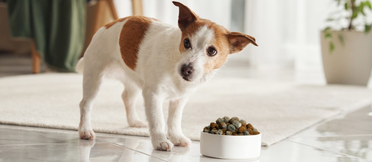 Stopping spoilage before it starts: how to win the fight against yeasts & molds