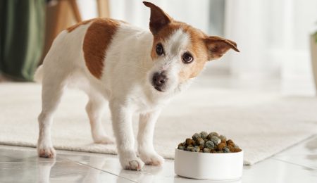 Stopping spoilage before it starts: how to win the fight against yeasts & molds